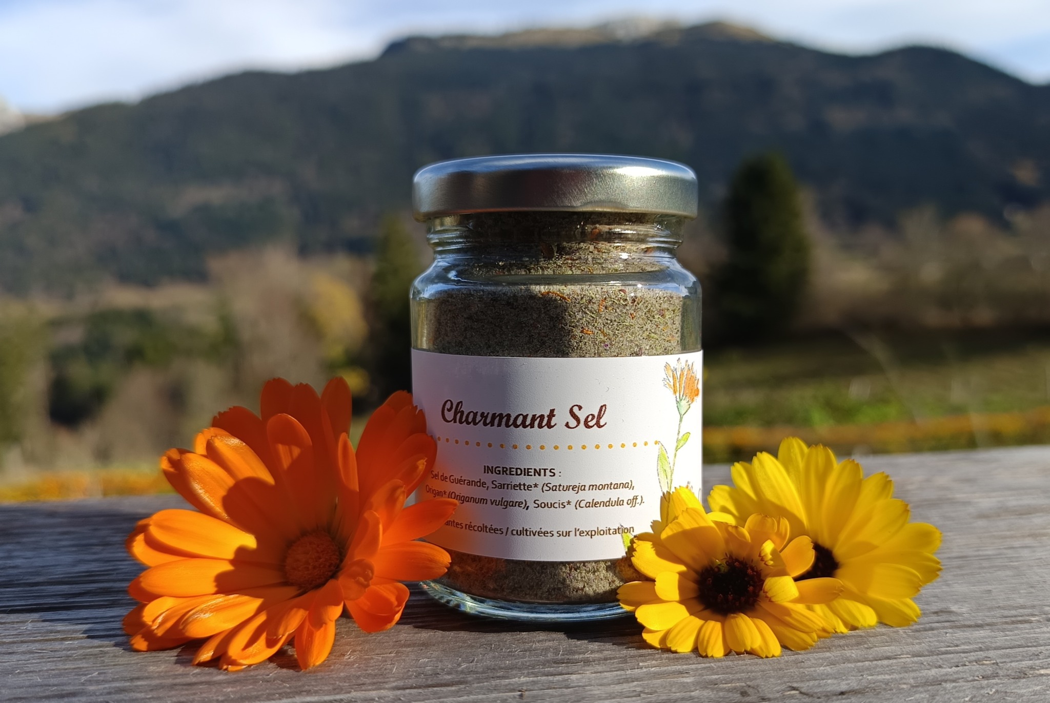 1763151249065 1763151249065